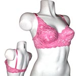 Cliquez ici pour voir les d�tails de ce produit