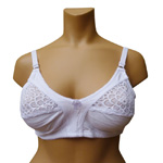 Cliquez ici pour voir les détails de ce produit